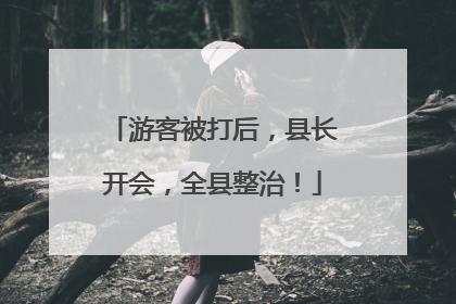 游客被打后，县长开会，全县整治！